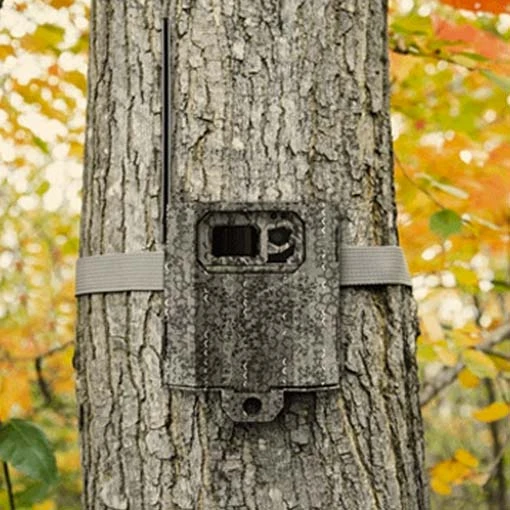 Boîtier Sécurité SPYPOINT Link Micro SB-300 6 Boîtier Sécurité SPYPOINT Link Micro SB-300 – Image 4