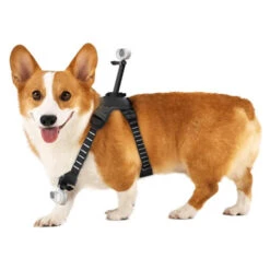 Harnais Insta360 Pour Animaux -Dashcam Magasin harnais insta360 pour animaux 1