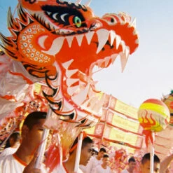 Lomography Simple Use Reloadable Film Camera 35 Mm -Dashcam Magasin lomography simple use reloadable film camera 35 mm 2