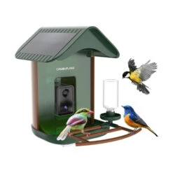Mangeoire à Oiseaux Avec Caméra Connectée Camouflage