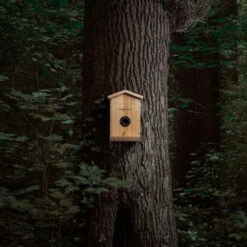 Nichoir à Oiseaux Avec Caméra Connectée Camouflage -Dashcam Magasin nichoir a oiseaux avec camera connectee camouflage 8