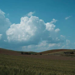 Sony Alpha 7CR (Boîtier Nu) -Dashcam Magasin sony alpha 7c r boitier nu 8