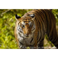 Téléobjectif Sony FE 200-600 Mm F/5.6-6.3 G OSS -Dashcam Magasin teleobjectif sony fe 200 600 mm f56 63 g oss 2